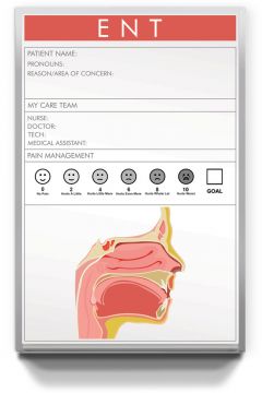 Custom Printed Otolaryngology Dry Erase Boards