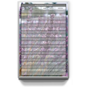 hospital anesthesiology scheduling board